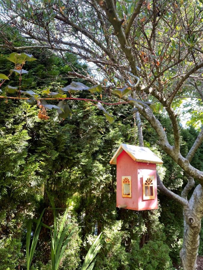 Kye Bay Bnb - A Place To Breathe Comox Esterno foto