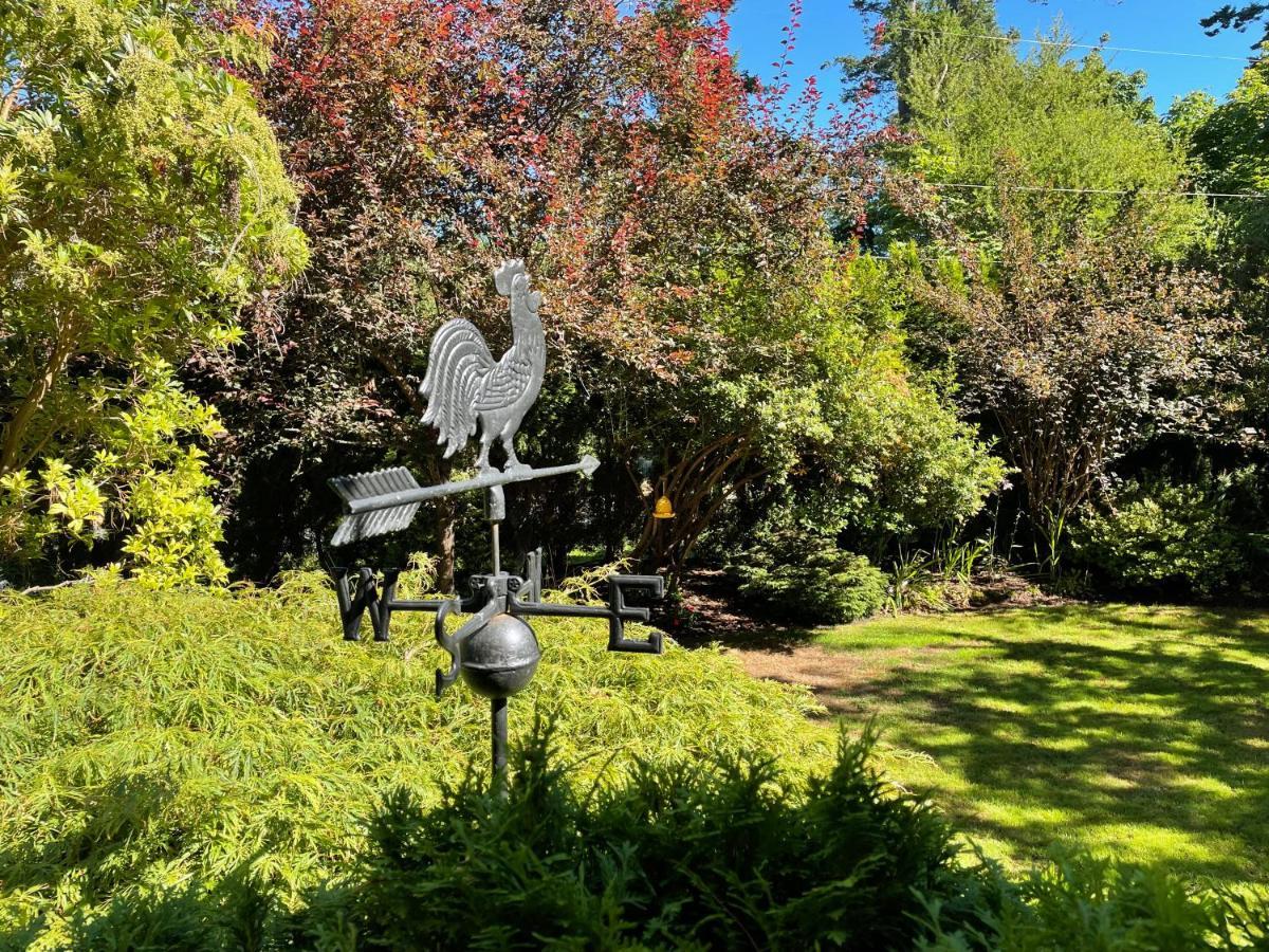 Kye Bay Bnb - A Place To Breathe Comox Esterno foto